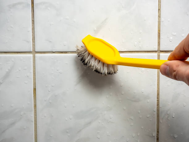 Best Insurance-Related Mold Remediation in Gas City, IN