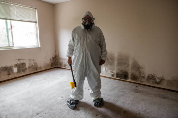 Best HVAC Mold Remediation in Gas City, IN